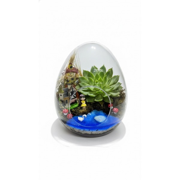 Yumurta Cam Teraryum Büyük